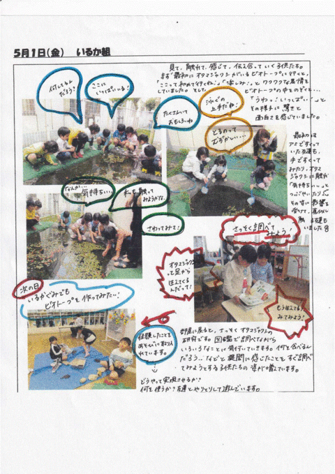 おたまじゃくしを取りに行き、その後調べたり、造形活動を行ったりしています。