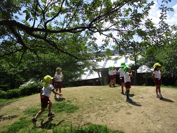 08051205