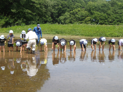 田植え体験