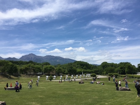 芝