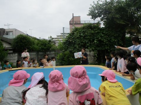 プールの約束を聞いている様子