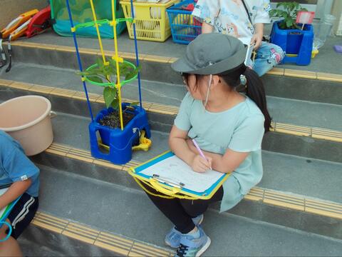 写真4