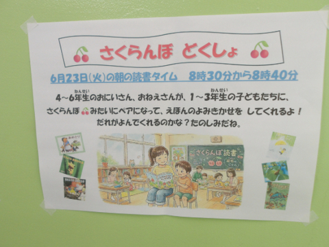 さくらんぼ1