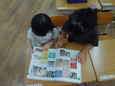 写真3