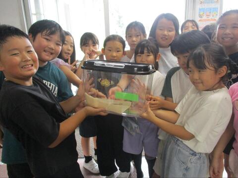 写真1