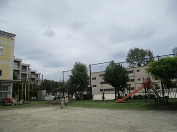 08060501