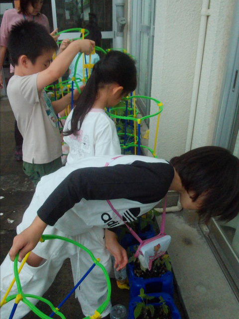 写真3