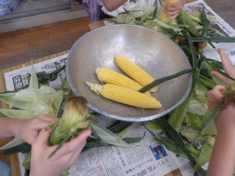 給食3