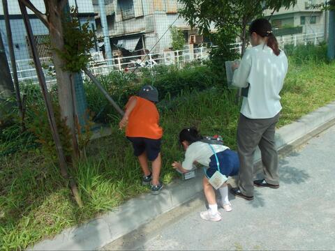 写真2