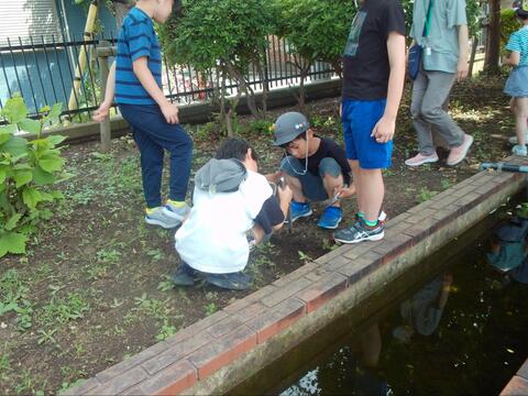 写真3