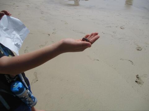 写真1
