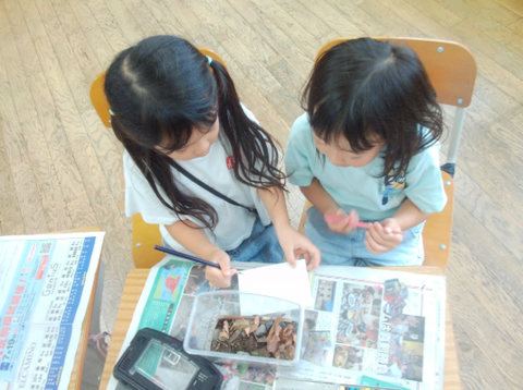 写真1