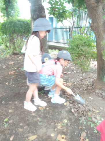 写真3