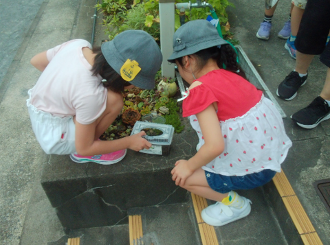 写真5