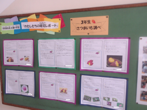 調べる学習