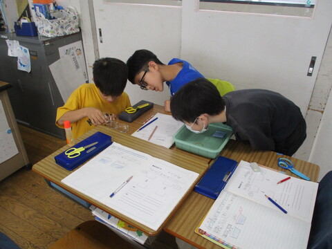 写真1