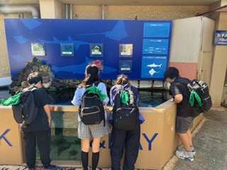 水族館