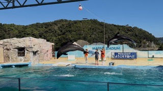 水族館2