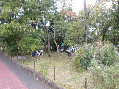 どんぐり拾い2